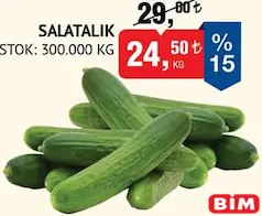 SALATALIK KG fiyat ve kampanya bilgisi